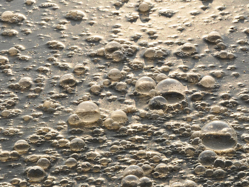 手持式综合毒性检测仪好用吗
