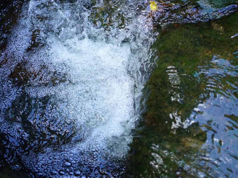 入河入海排污口管理标准指南