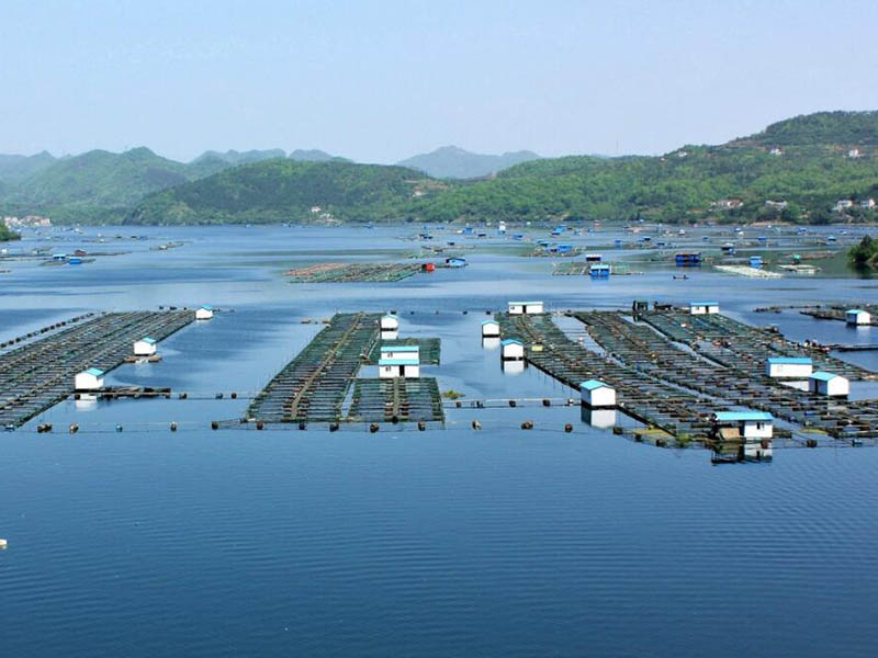 水产养殖主要检测的水质指标