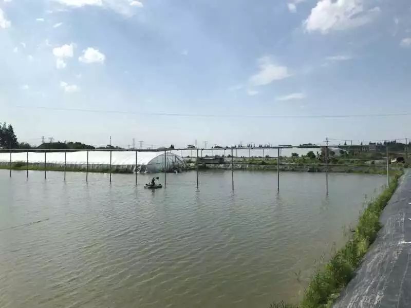 虾塘水质检测仪，可快速、准确对水质进行测量