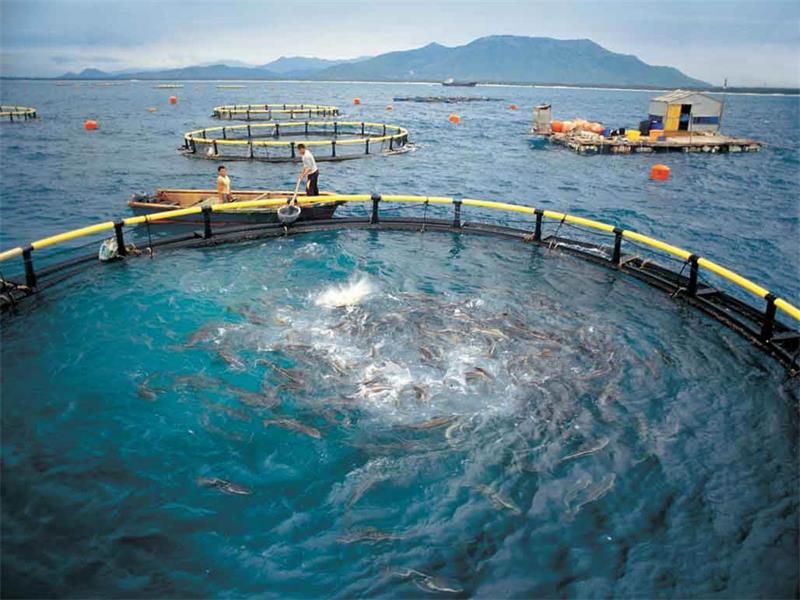 怎样可以预防水产养殖带来的风险
